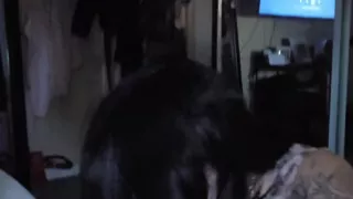 Neighbor sucks and fucks