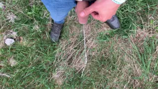 Piss Uncut Cock with Rings on Balls 4K