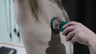 Soft Femdom Training Session