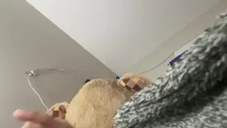 Solo Masturbation. Home Video
