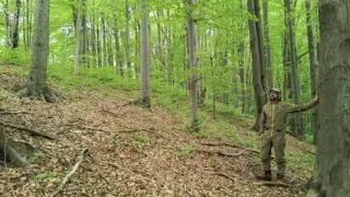 I Chase Him Through the Leaves