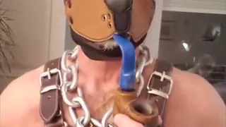 Pupdad
