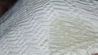 Pantygee