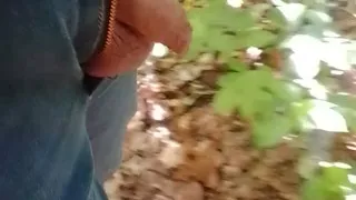 Me on cruising spots in the forest