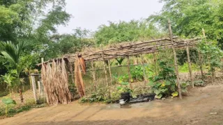 "Hot Village ???? Life Moments   Indian village girl's original vibration video!