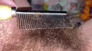 Brushing My Bush