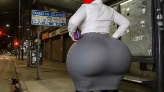 Xprohibidox1