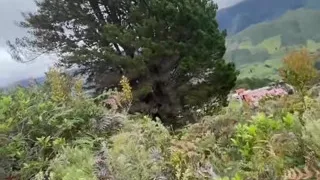 We look for a place in the woods and suck his dick