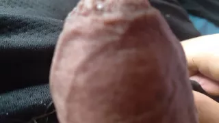 young gay boy pulls his huge penis out of his boxers to show you
