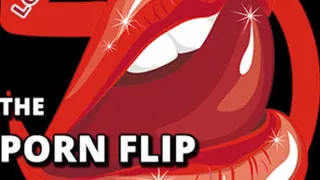 Porn Flipper