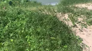 big dick on the beach