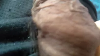 hard cock wants lots of sex on vacation