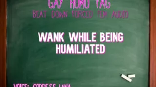 Wank While Being Humiliated Gay Homo Fag Audio