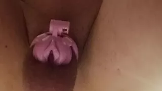 Sissy training