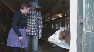 German - Mess in the pigsty 4 full DVD