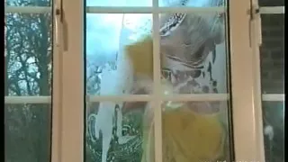 The Window Cleaner
