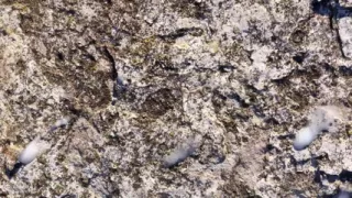 Piss on My Cum on Stone Outdoor