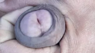 Big Cock Black Handjob Indian Man