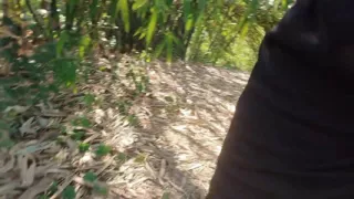 Panjabi Desi boy forest outdoor handjob