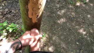 Cumshot on 'cum Here' Tree, Showing Cum Close up and Piss at a Cruising Area