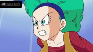Vegeta bulma in the cacsula corporation