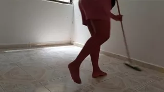 The Lady Who Cleans the House