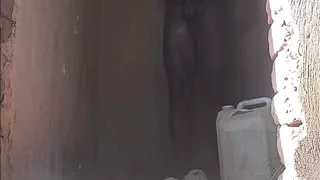 Zebra42 