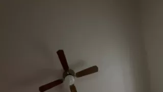 Moaning in the Night