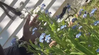 Piss Pussy for Care Flower Tree