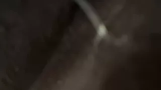 Fat Juicy and Wet