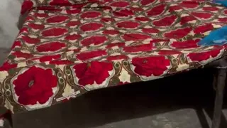 Ameerhamza076
