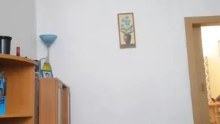 such our domestic distraction
