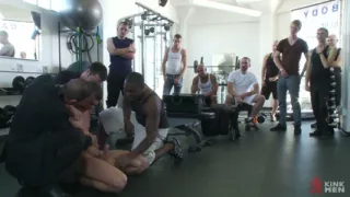 Gym Rat and the Gay Mafia