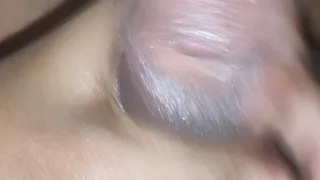 Ansgu255