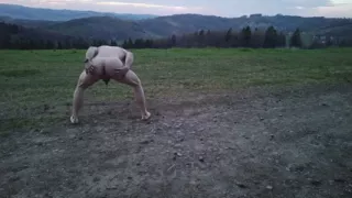 Naked in the Meadow