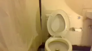 Squatting and Peeing on My Toilet Seat