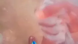 Sudanes cock