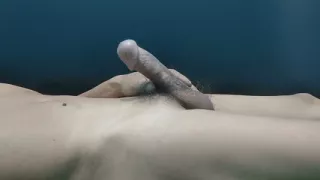 Morning cock
