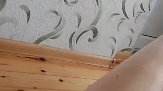 The Biggedt Booty Oiled Sweet Juicy Butt Attractive Delicious Tasty Sissy