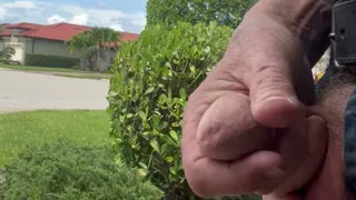 Public Driveway Masturbation