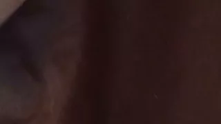 Rosebud Juices on Cock head.