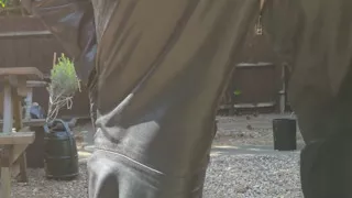 Leather in the Sun