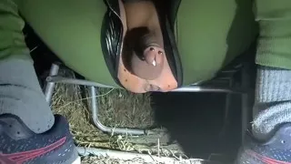 Hungry Mosquitoes