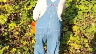 Time to Pick Blackberries