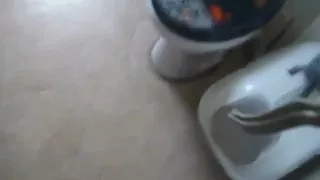 Swallow My Piss