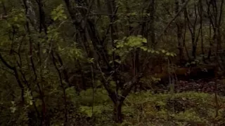 Exploring new tracks walking naked barefoot