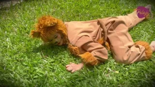 Natgio Mix Lion and Leopard Wild Sex Game