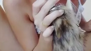 Foxy Tail Plug and Intense Pussy Fuck