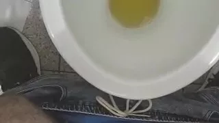 New paw in the bathroom