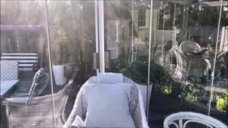 Hunk Stepdaddy Bear Naked Sunbathing in the Veranda 4